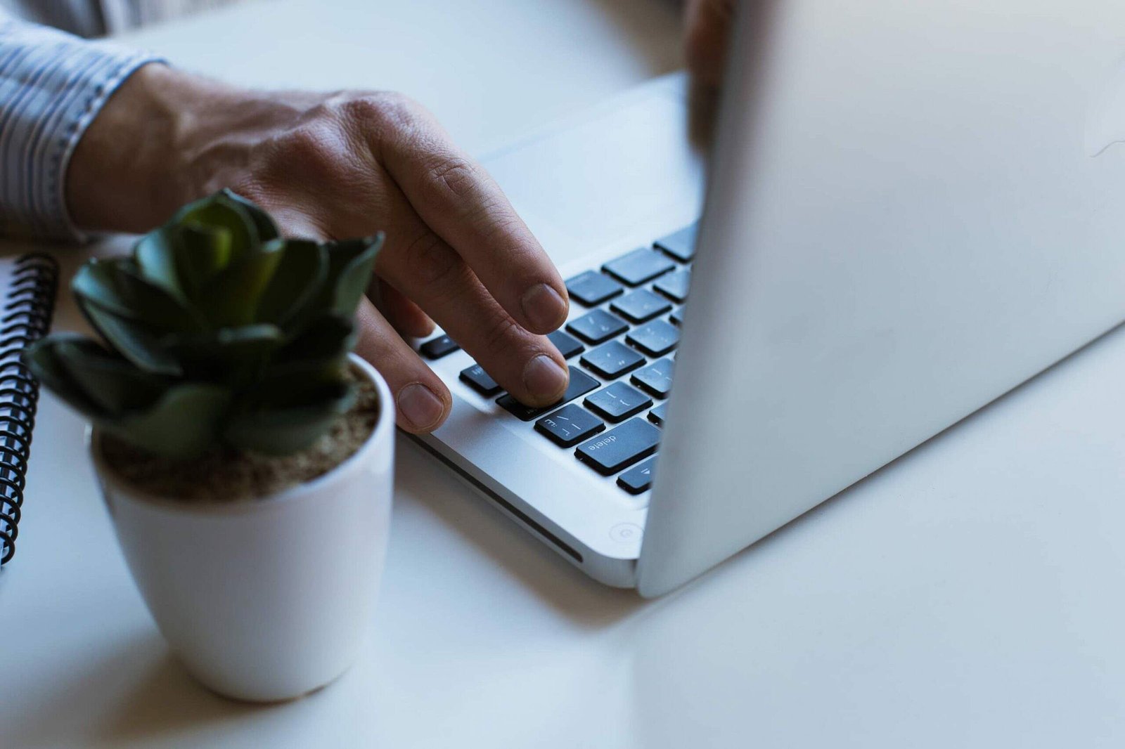 Man working on his laptop with a potted plant beside him